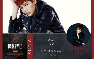 Dark & Wild – SUGA